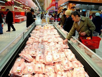 Profit din pui de jumătate de miliard de lei