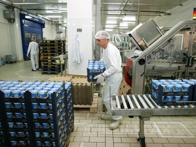 România importă 10% din laptele folosit ca materie primă și integral ambalajele și fructele din iaurturi