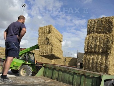 Proiecte pentru fermele de familie: Câți bani ar putea primi cei interesați