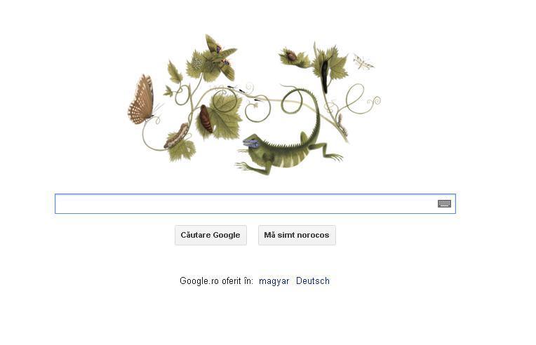 Noul Google Doodle o omagiază pe  Maria Sibylla Merian
