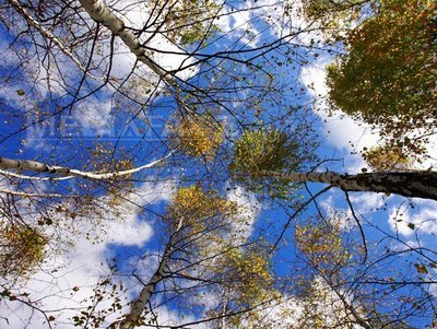 VREMEA va fi caldă, dar și instabilă. Prognoza meteo pentru weekend: ce temperaturi vor fi în țară, în București și la munte