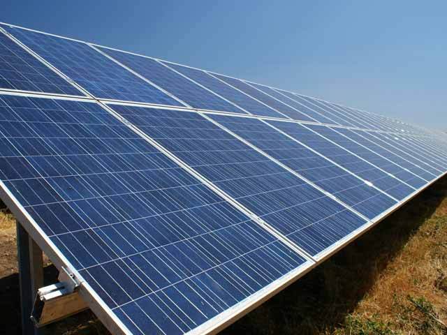 Producția este dublă față de consum și amenință să destabilizeze sistemul, iar bulgarii nu pot exporta din cauza taxelor mari