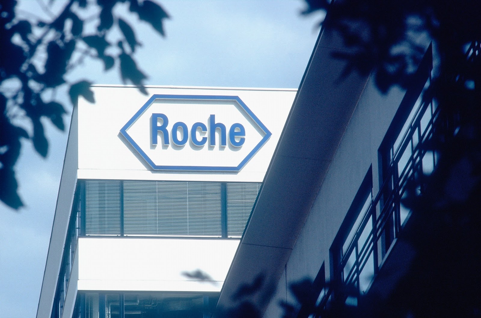 Afacerile globale ale Roche cresc cu 6% după primul trimestru