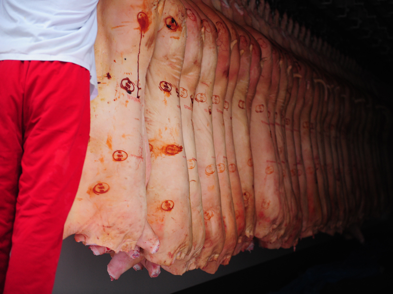 Carmolimp: Creșterea prețului la carne de porc în următoarele luni este iminentă