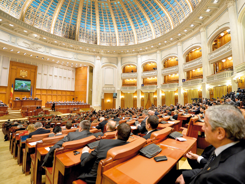 Ziua cârtiței: anul 2009 se întoarce cu referendum cu tot