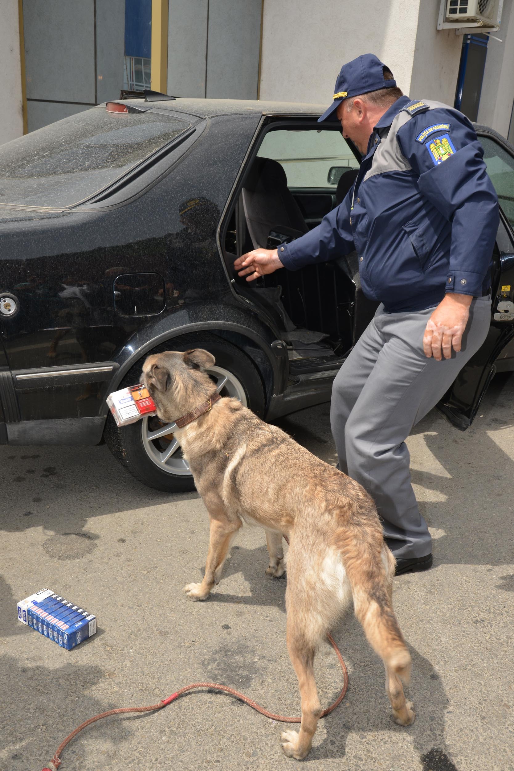 O nouă campanie anticontrabandă