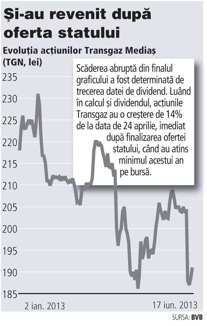 S-a terminat cu dividendele uriașe la Transgaz. Compania și-a bugetat un profit în scădere în 2013 și o rată de distribuție a profitului de 50%, față de 85% în ultimii ani