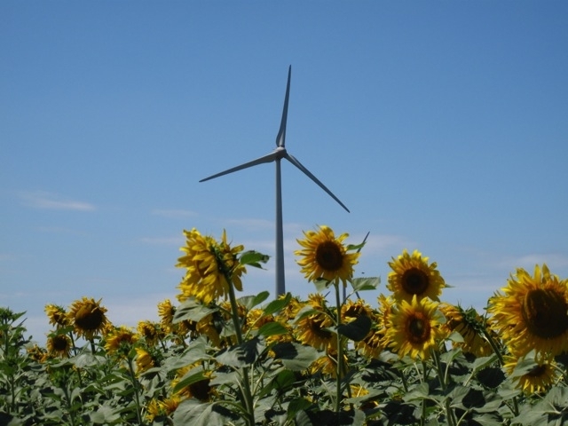 Investiții de 380 de milioane de euro pe malul românesc al Mării Negre