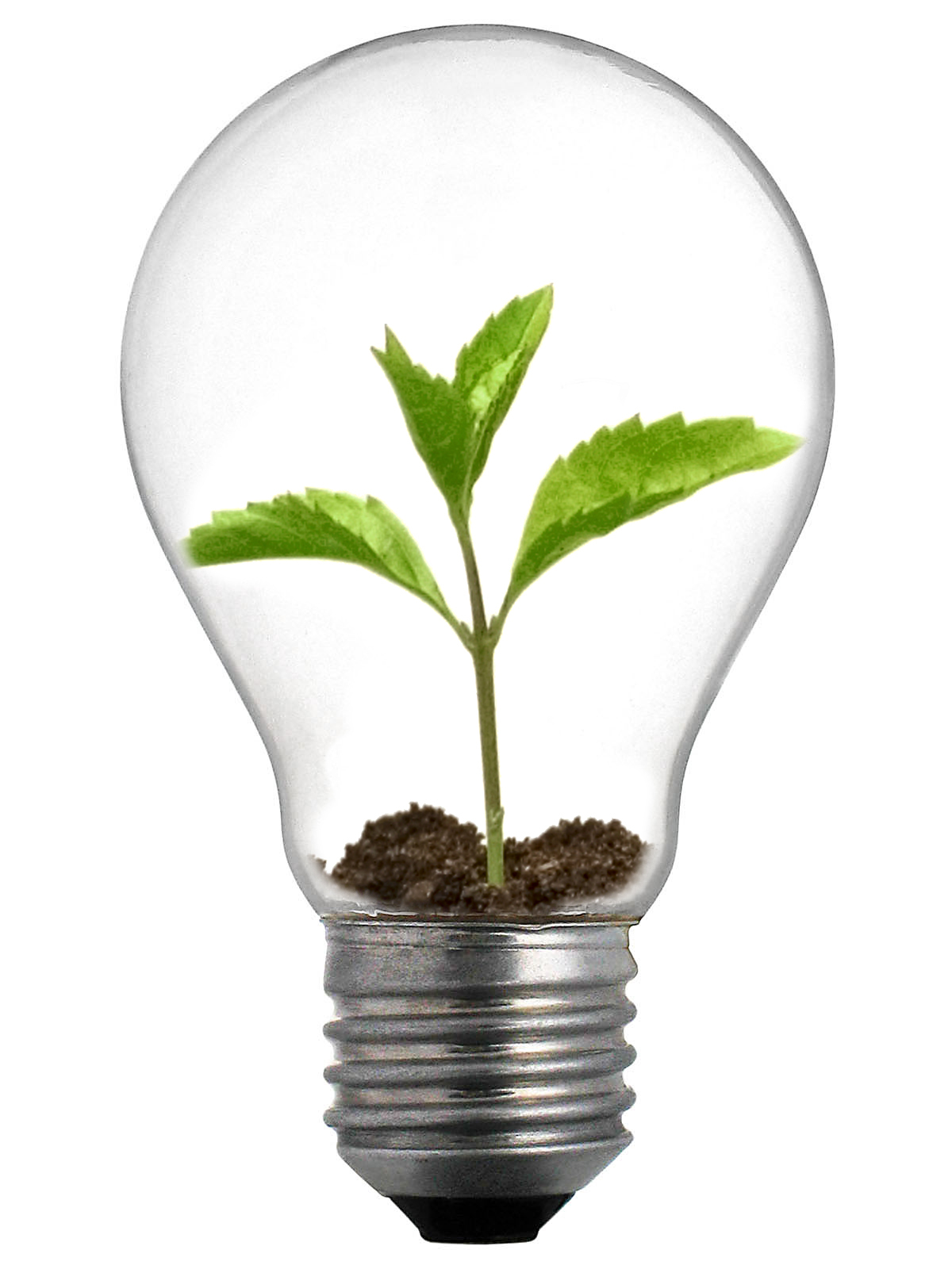 Primul showroom dedicat tehnologiilor energetice verzi, într-o fostă clădire CEC din Avrig