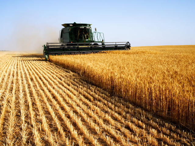 Fondurile europene pentru agricultură, rulate prin băncile care vor cofinanța proiecte