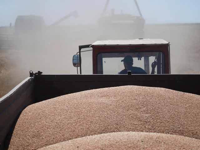 Agricultorii români așteaptă o creștere a recoltelor cu 60%