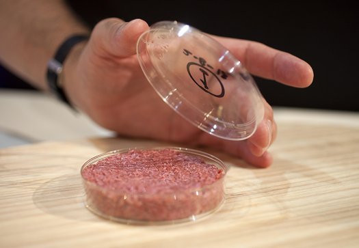 Olandezii au lansat primul burger creat in vitro, din celule stem de vaca. Pret: 250.000 de euro