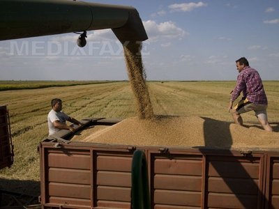 Concurența investigheză 10 companii pentru înțelegere la fixarea prețurilor cerealelor