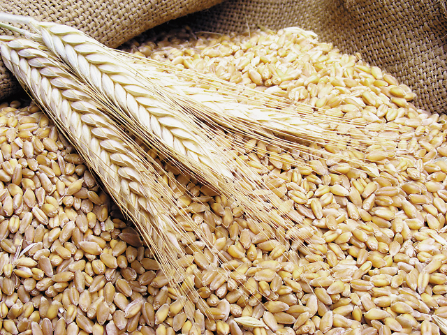 Agriculturile puternic subvenționate din Rusia și Ucraina afectează prețurile la cerealele românești