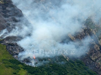 Incendiu de proporții în California. Mii de pompieri au fost mobilizați pentru a stinge flăcările din rezervația Yosemite