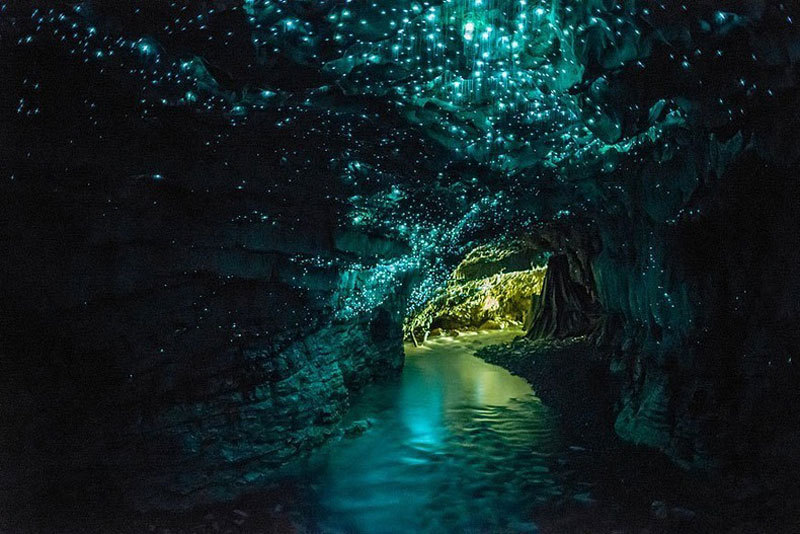 Imaginea zilei: peșterile Waitomo
