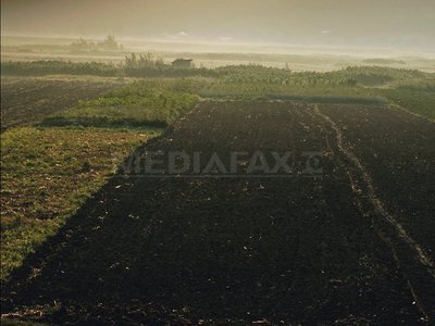 Ponta crede că suprafața destinată cultivării produselor bio se va dubla în următorii șapte ani
