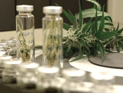 Canabisul medicinal - un tratament legal, la care pacienții români nu au acces
