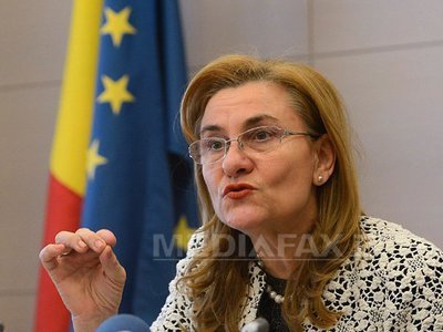 Grapini: Impozitul forfetar nu este o supraimpozitare, l-au cerut și afaceriștii din alte domenii