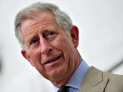 Prințul Charles: România pierde 3 hectare de pădure virgină pe oră