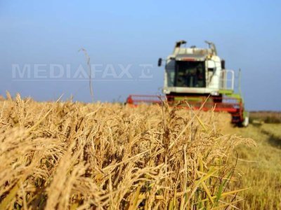 Bugetul alocat de stat Agriculturii va crește anul viitor cu 7%, la 5,88 miliarde de lei