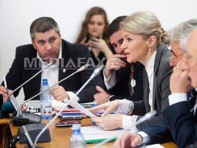 Disputele continuă la comisiile de buget. Andreea Paul și Cosmin Nicula, nou schimb de replici