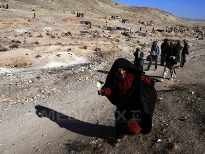 Raport ONU: Suprafețele cultivate cu opiu au atins un nivel record în Afganistan în 2013