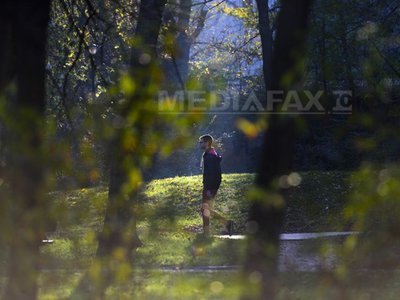 Primăria Capitalei vrea să dea 3,5 milioane de euro pentru inventarierea spațiilor verzi private