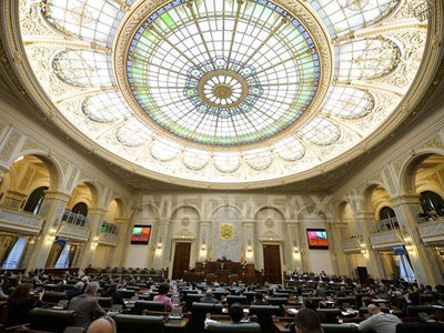 Senatorii și-au votat bugetul pe 2014, de peste 100 de milioane de lei
