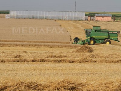 Ministrul Agriculturii: Ioana Băsescu va primi subvenții de 46.000 de euro pe an pentru terenul agricol