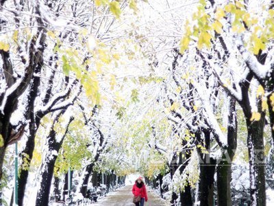 VREMEA de REVELION și în primele zile din 2014: PROGNOZA METEO pentru toată țara, până pe 12 ianuarie
