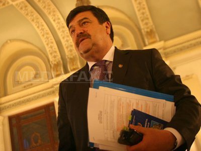 Toni Greblă, propunerea Senatului pentru Curtea Constituțională. Votul, în plen luni seară. Numirea senatorului PSD, raport favorabil din partea Comisiei Juridice