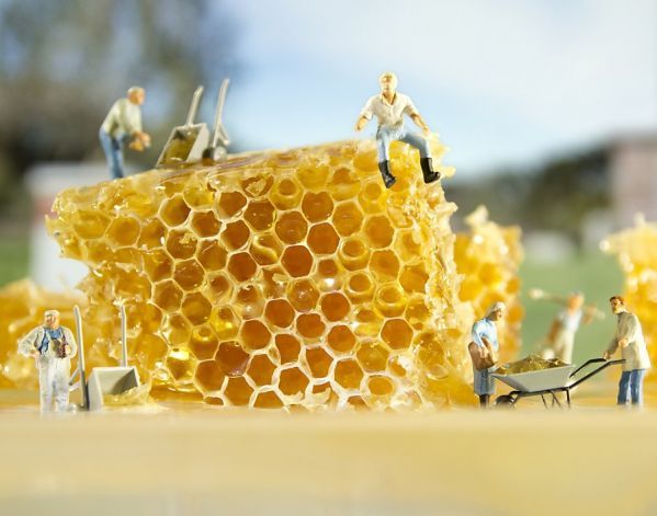 Idei de afaceri: ce trebuie să facă un artist culinar de succes (GALERIE FOTO)