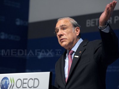 Oficial OCDE: Șomajul în rândul tinerilor, o problemă explozivă care ar putea destabiliza Europa