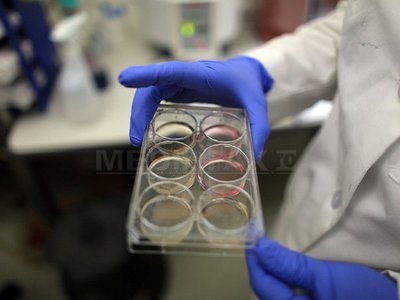 Sute de analize medicale pentru HIV, falsificate la Spitalul Județean din Târgu Jiu