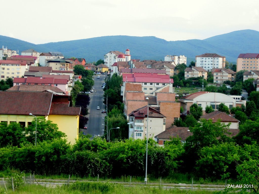 Județul din România unde s-au vândut patru mașini noi în 2014: două Dacii, un Seat și un Volkswagen