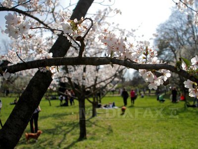Cum va fi vremea de 1 martie. PROGNOZA METEO pentru fiecare regiune a țării