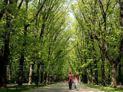VREMEA se încălzește în weekend: Prognoza meteo în țară, la București și la munte