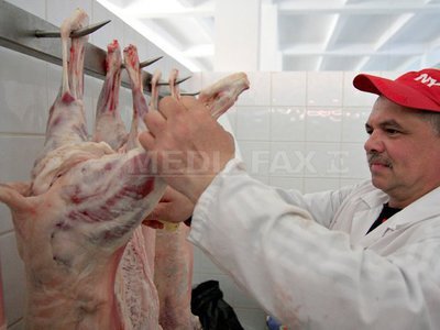 Președintele ANSVSA recomandă consumatorilor să cumpere miei numai din zonele autorizate: Nu există posibilitatea ca mielul să fie substituit cu carnea de câine