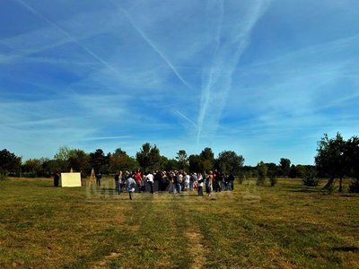 Proiect de lege: Insula Plumbuita trece de la Apele Române la CL Sector 2, pentru un parc cultural
