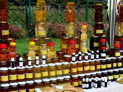 Daciana Sârbu: Aș vrea totuși să vedem TVA redusă la produsele bio începând cu 1 ianuarie 2015