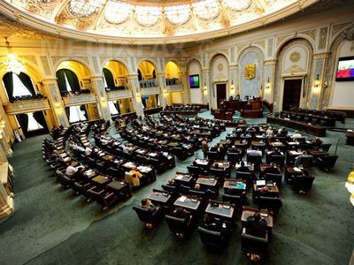 Senatorii cer avize de la comisiile SRI și SIE pe legea de transferare a STS la MAI