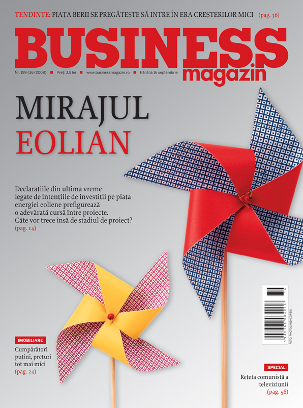 Business Magazin, în 2008 - Se anunță o adevărată cursă între proiectele privind energia eoliană