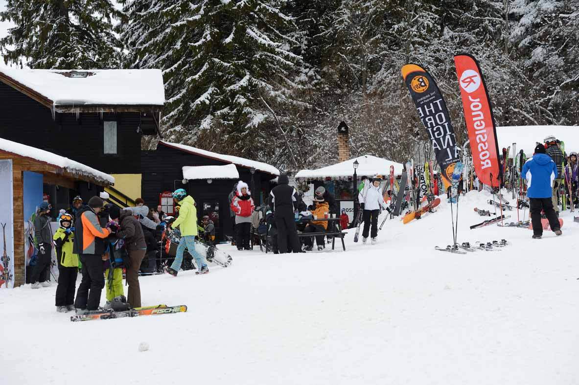 Turiștii străini veniți în România preferă city break-urile și circuitele de nișă