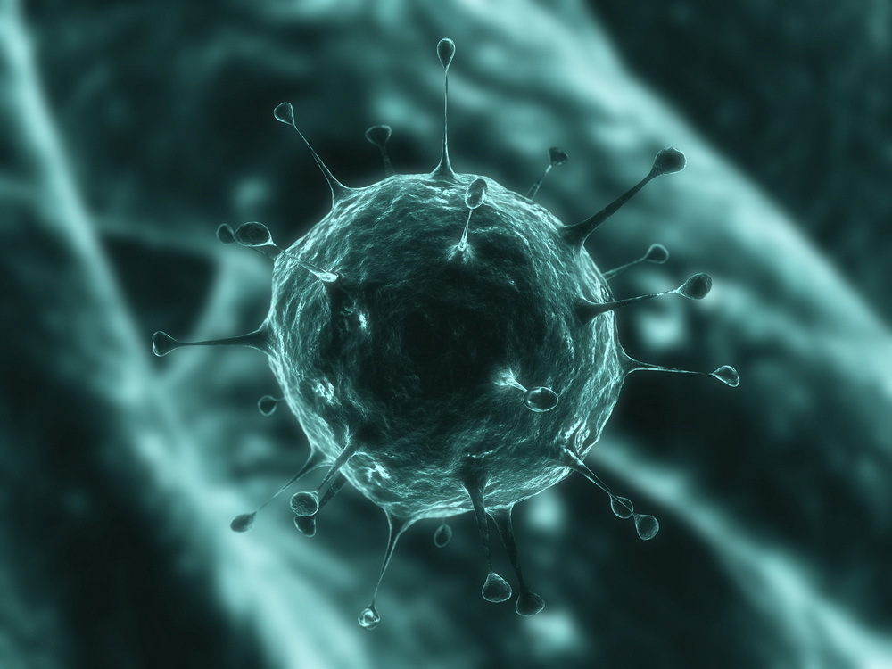 Încălzirea globală și o bacterie pun în pericol una dintre cele mai populare băuturi din lume