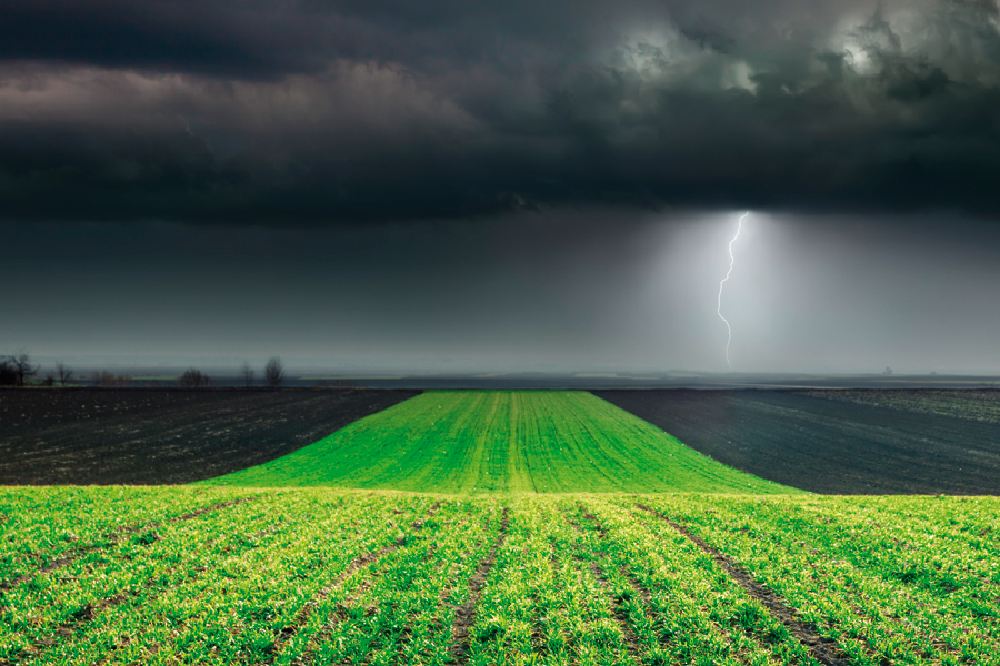 Doar un sfert din terenurile agricole din România sunt asigurate. Polița costă 30 de lei la hectar