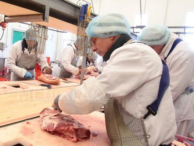 Prefect de Cluj: Există suspiciunea că bovina depistată cu encefalopatie ar proveni din satul Deușu
