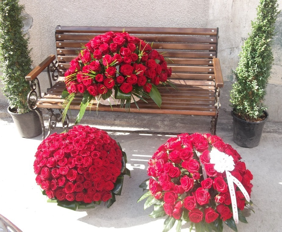 Trandafirii roșii, florile preferate ale românilor