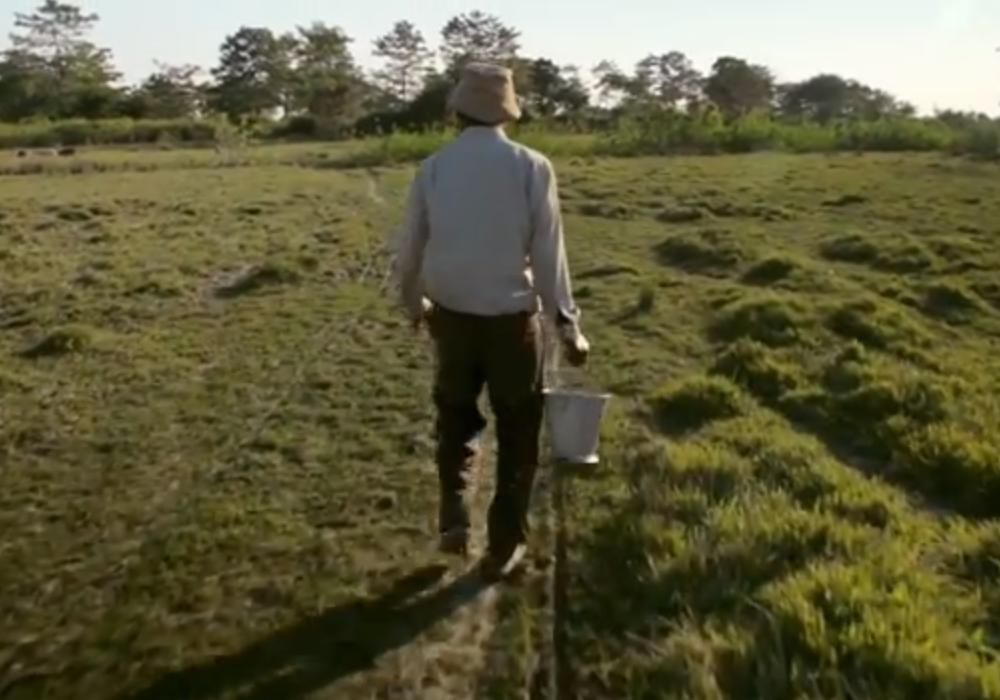 Omul care a plantat singur o pădure - video