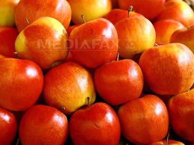 Rusia interzice importul fructelor din Republica Moldova, din cauza unei "insecte periculoase"
